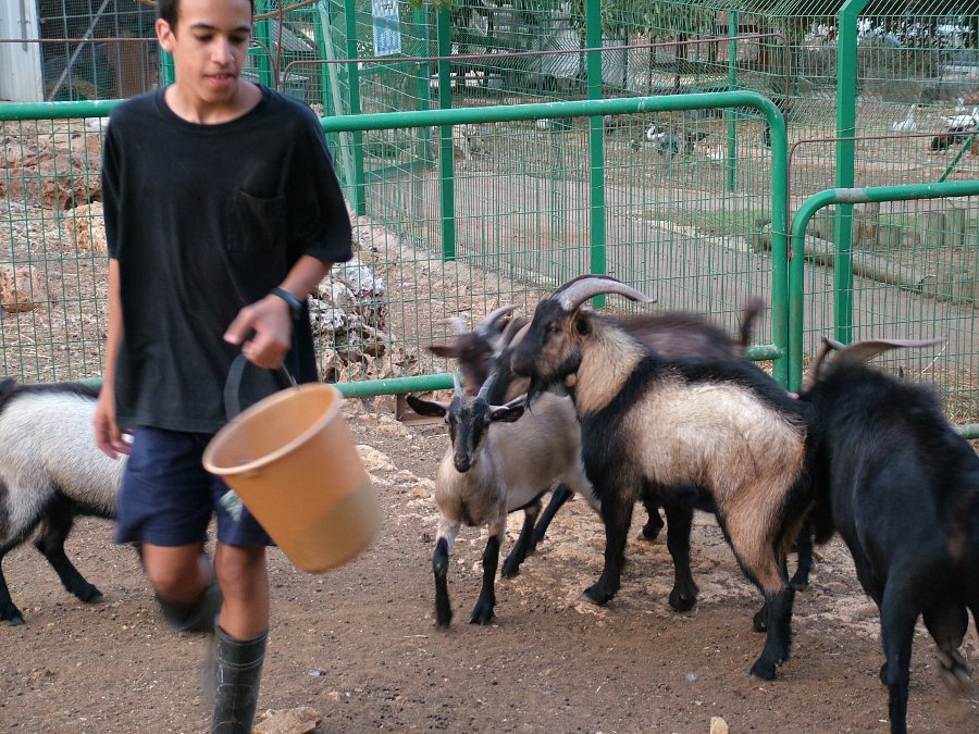 אלבום תמונות מתחלפות באנר עליון שמאלי